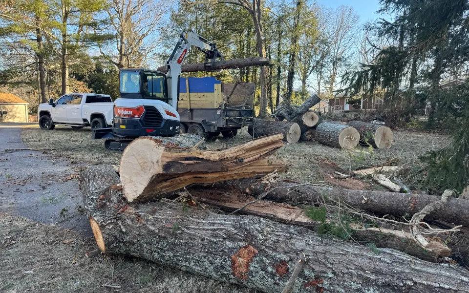 land clearing services ashville nc