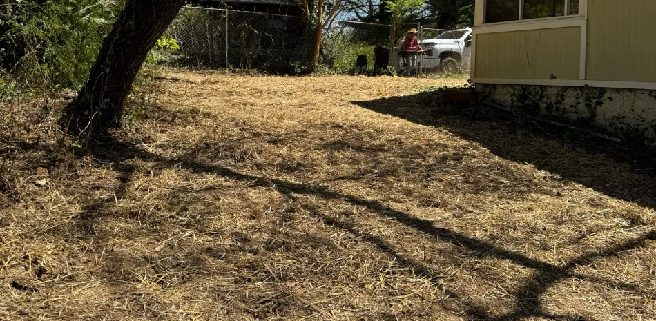 land clearing work ashville nc land clearing work ashville nc