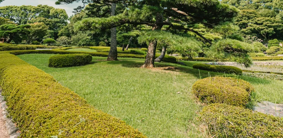 landscaping install work ashville nc